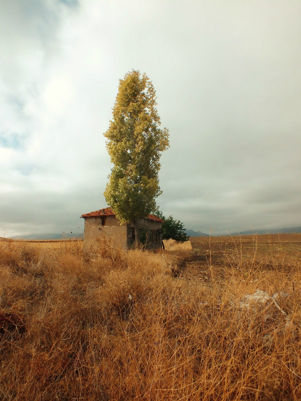 Busralb, Çuğun, Kırşehir