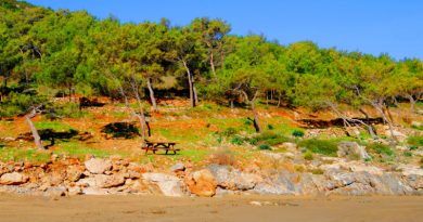 Aydincik Tabiat Parki