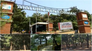 Bursa Kent Ormanı