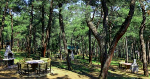 Bursa atatürk kent ormanı piknik alanı