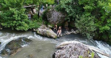 KOCASU - DELIBALLILAR -KARAGÖZ KÜLTÜR ŞENLİĞİ