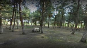 Yedikır Barajı Piknik Alanı