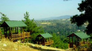 atatürk kent ormanı seyir teras