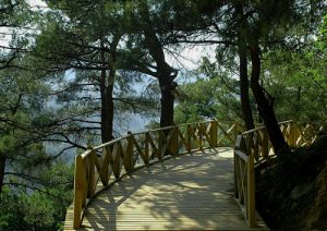 bursa Atatürk kent ormanı gezi