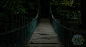 bursa kent ormanı köprü