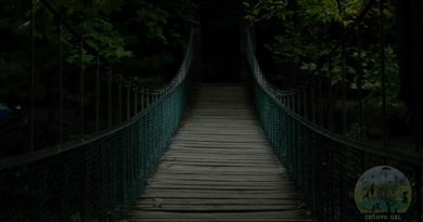 bursa kent ormanı köprü