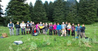 gerede karaca göleti