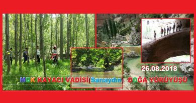kayaci-vadisi-sariaydin