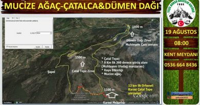 mucize ağaç çatalca dümen dağı