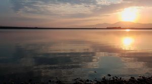 Yedikuğular Kuş Cenneti
