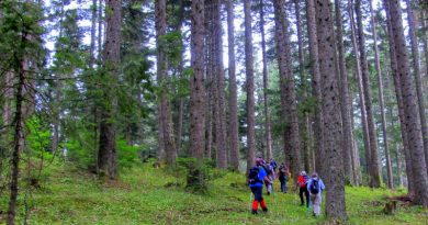 Gerede, Örencik Yaylasi- Bakacak Sivrisi