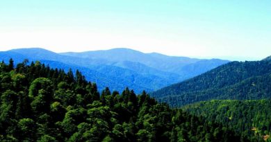 bolu-celetepe-doga-yuruyusu