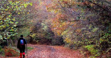 bolu-sebenardi-doga-yuruyusu