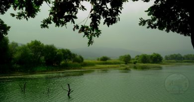 Dagyenice-goleti-bursa-kamp-video-piknik-alani