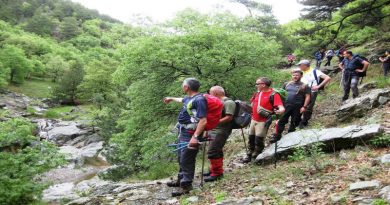 Nallihan-ilica-vadisi-doga-yuruyusu