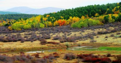 Otaci-koyu-otaci-yaylasi-ve-topunlutepe