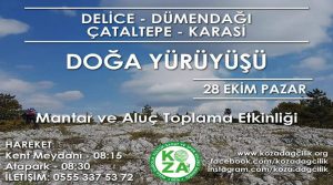 delice-dumen-dagı-cataltepe-karasi