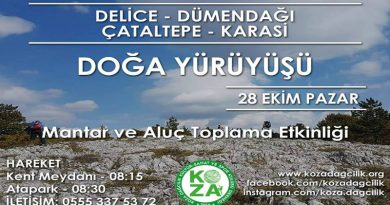 delice-dumen-dagı-cataltepe-karasi