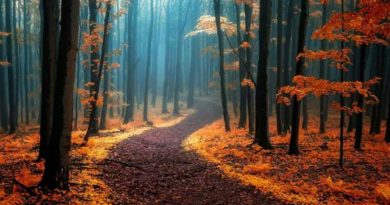 domanic-daritepe-doga-yuruyus