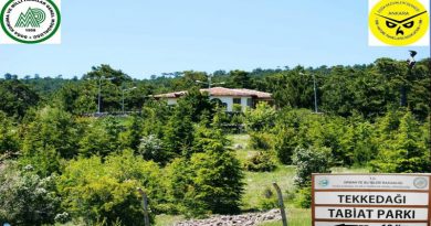 tekke-dagi-tabiat-parki-doga-yuruyusu