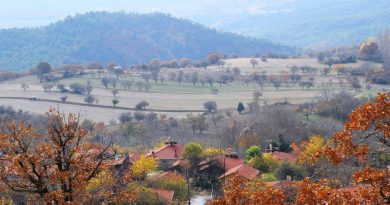 bozarmut-yaylasi-nallihan