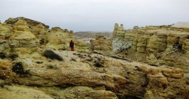 nallıhan devedamı doğa yürüyüşü