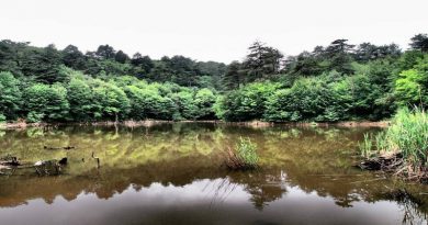 Yalova Dipsiz Göl Erikli Şelalesi Delmece Yaylası