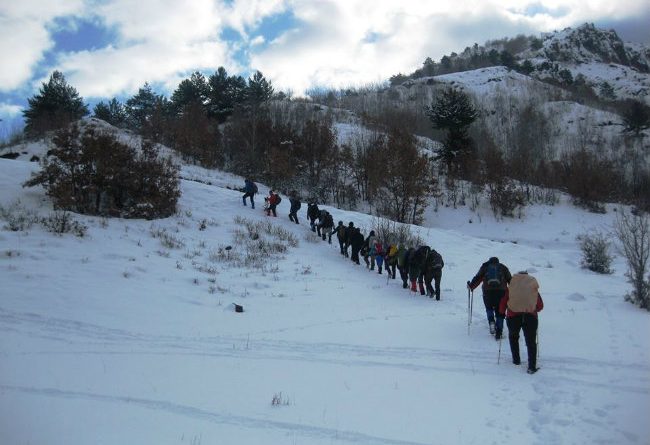 gerede, aktaş yayla, dorukkaya, orman