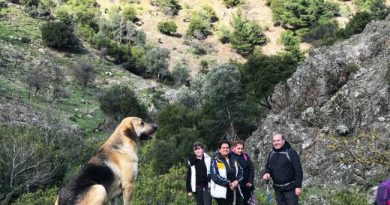 çatalkaya , narlıdere, urla, izmir