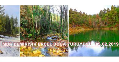 demirışık , erçel