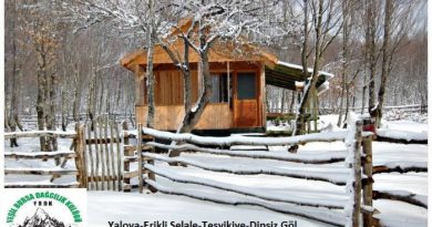 dipsiz göl yalova erikli şelalesi