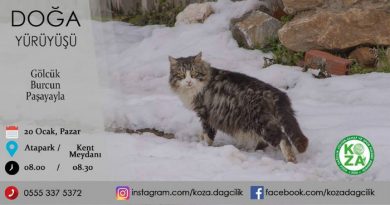 gölcük göleti doğa yürüyüşü