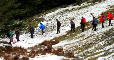 kartaltepe milli parkı kozluören