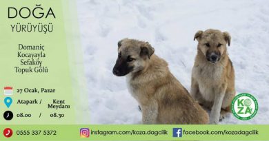 kocayayla sefaköy topuk göleti