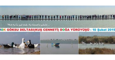 göksu deltası doğa yürüyüşü