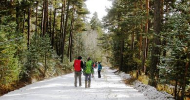 kızılcahamam soğuksu milli parkı