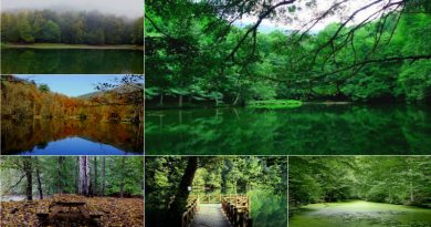 Yedigöller Milli Parkı / Bolu