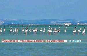 Yumurtalık Eşemen Gölü-Yelkoma Lagünü