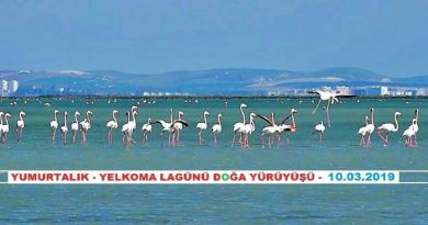Yumurtalık Eşemen Gölü-Yelkoma Lagünü