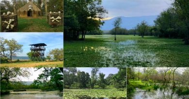 Karacabey Longoz Ormanları