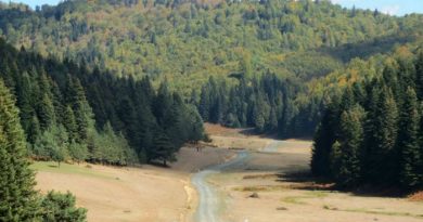 Kocaeli - Menekşe Yaylası - Karakaya Doğa Yürüyüşü