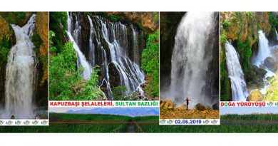 Kapuzbaşı şelaleleri ve sultan sazlığı