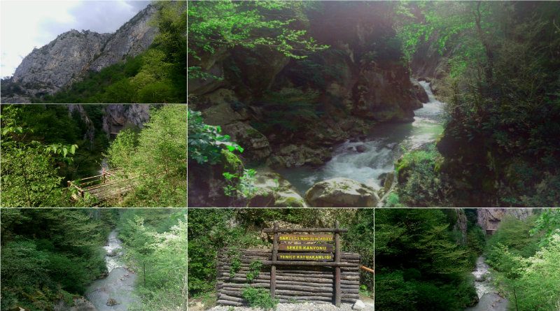 Şeker Kanyonu - Yenice